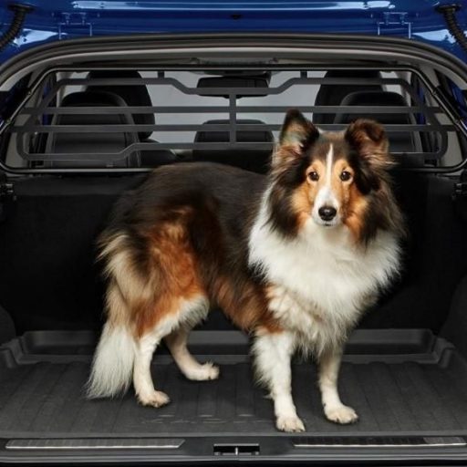 Grapa Rejilla De Baja De Toldo Para Renault - Compatible Con Megane III, Scenic III - Poliacetal Resistente